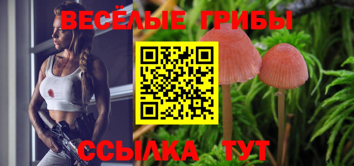 Галлюциногенные грибы Magic Shrooms Жуковский